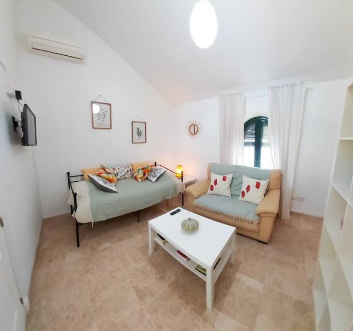 Ático Joaquín Costa 15 Alameda de Hércules Apartment in Seville