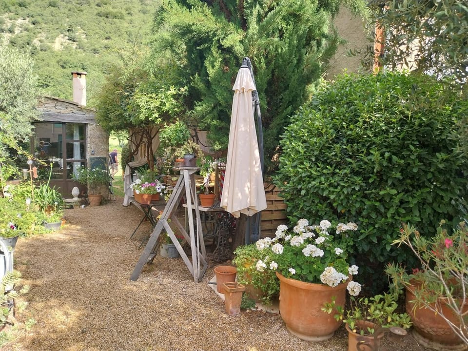 Property building, Garden view