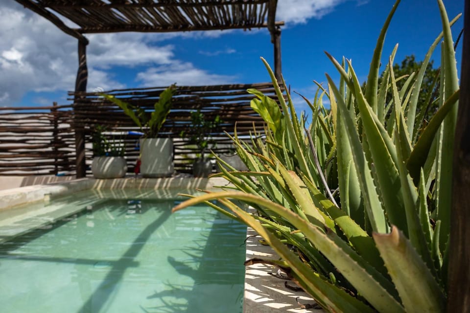 Pool view