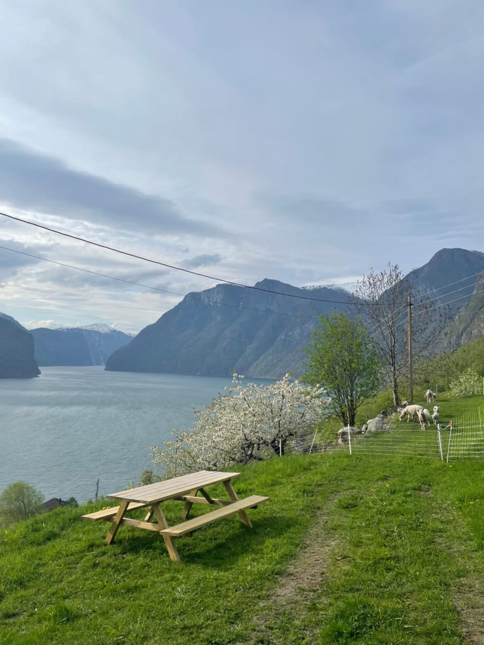 Aurland Stegastein Apartment Apartment in Vestland