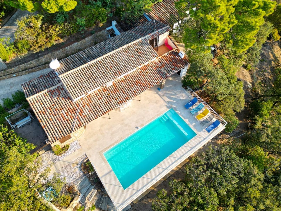 Day, Bird's eye view, Garden view, Pool view, sunbed