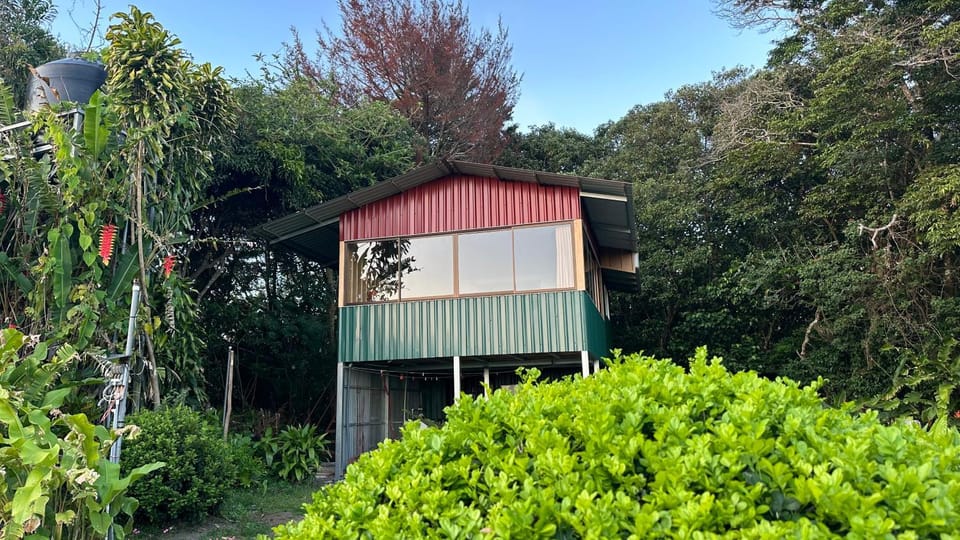 Property building, Garden view