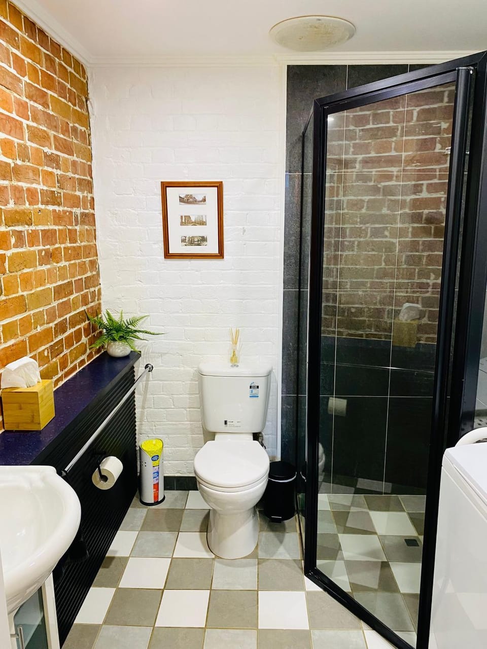 Shower, Toilet, Bathroom, washing machine