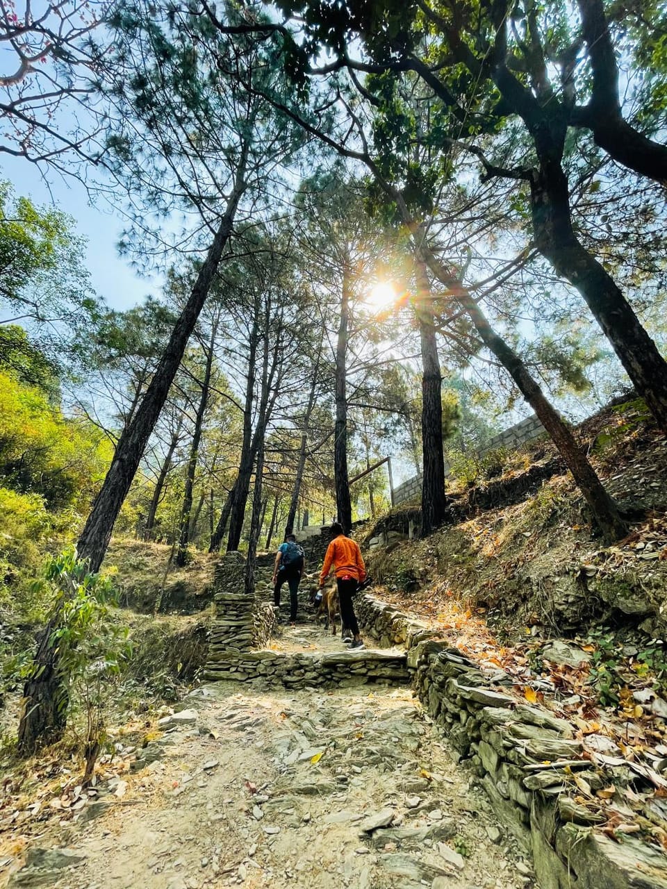 Hiking