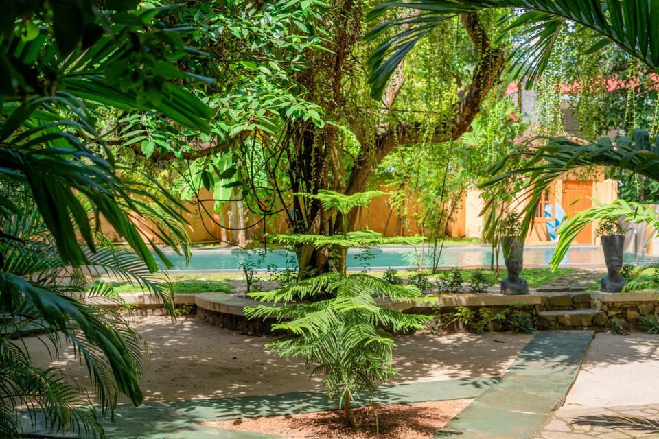 Day, Garden