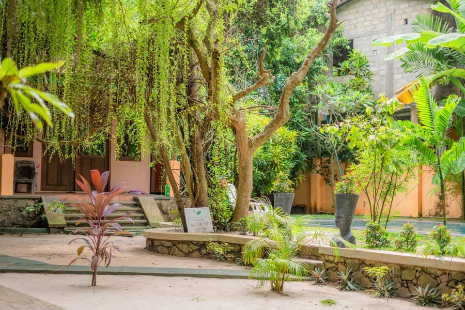 Day, Garden view