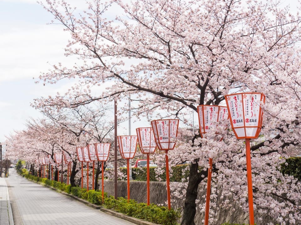 Sakura Riverview Gion Villa in Kyoto