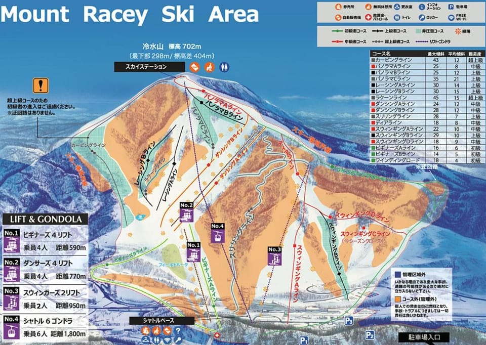 Skiing