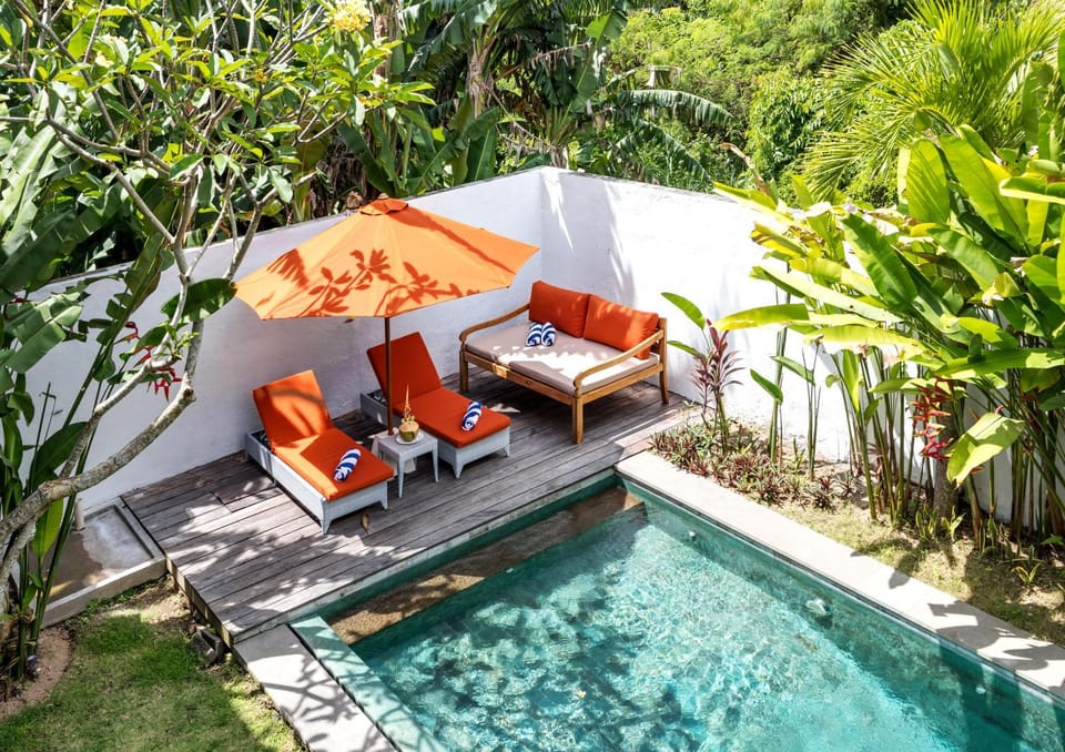 Natural landscape, Garden, Garden view, Swimming pool, sunbed