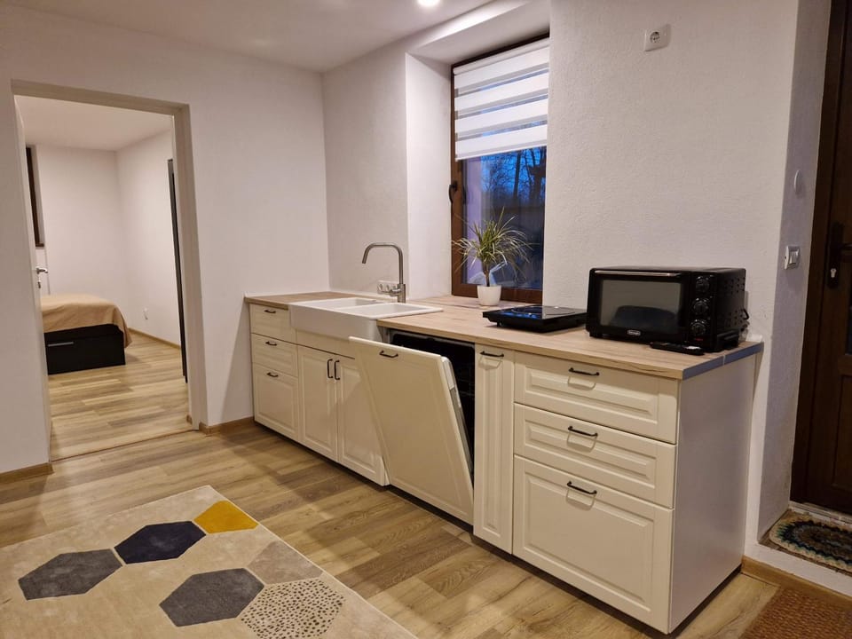 Kitchen or kitchenette, dishwasher, pet friendly, stove