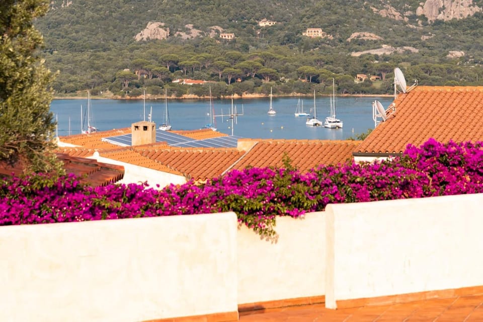 Property building, City view, Garden view