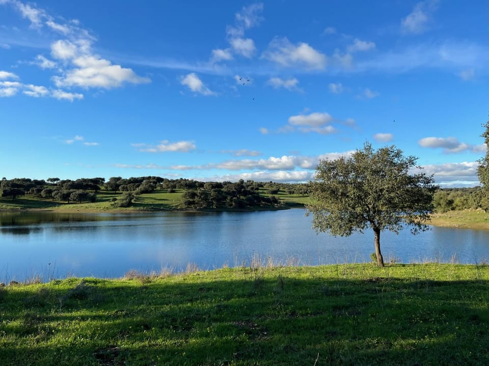 Natural landscape, Fishing, Canoeing, Hiking, Cycling, Lake view