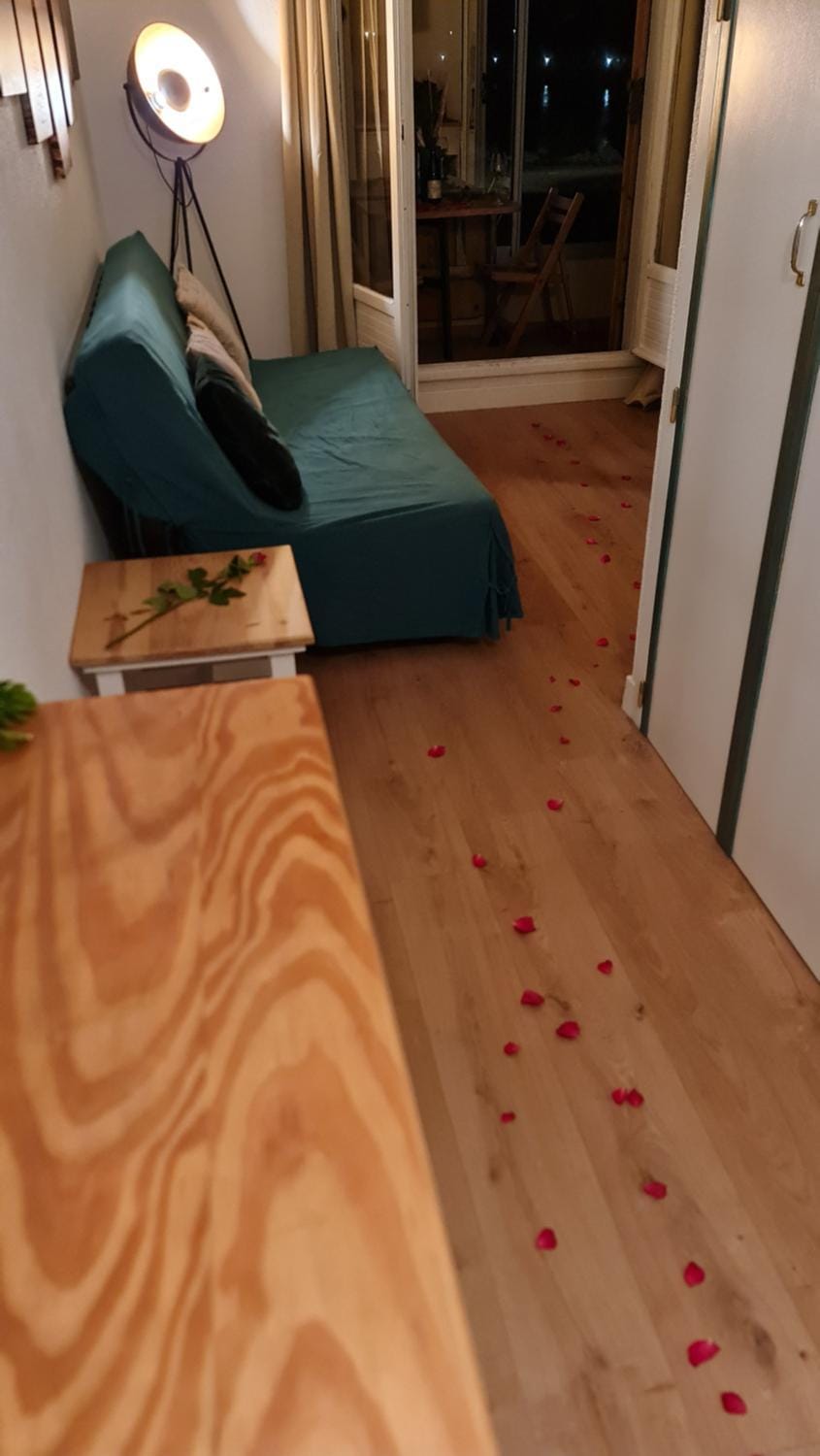 Splendide appartement GOLDEN HOUSE vue LAC et montagne Apartment in Port-la-Nouvelle