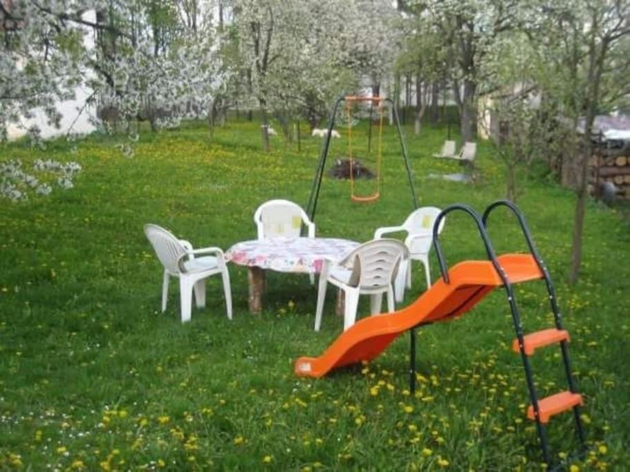 Garden