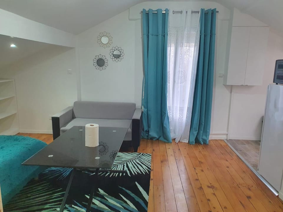 Joli studio/Bourget/CDG/PARIS Apartment in Île-de-France