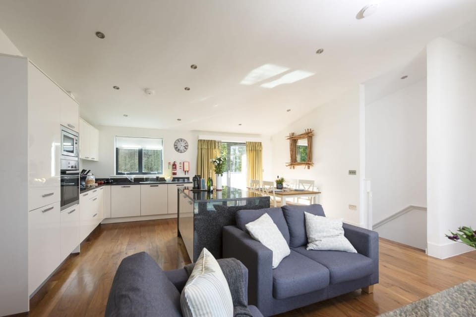 Living room, kitchen