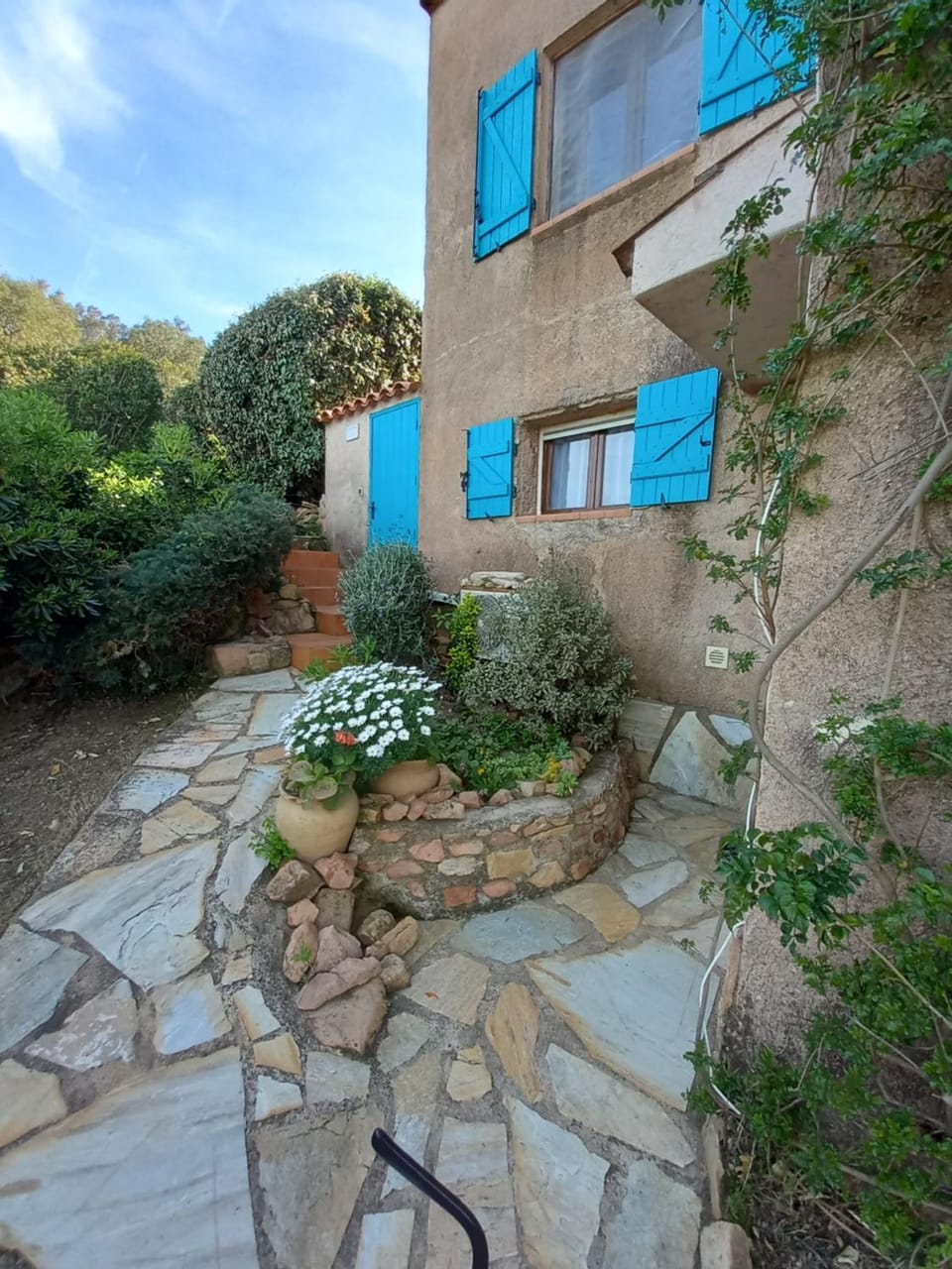 Garden view