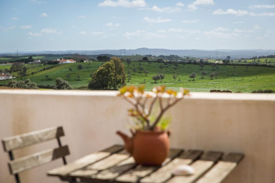 Costa Vicentina cottage with a view Country House in Setubal District