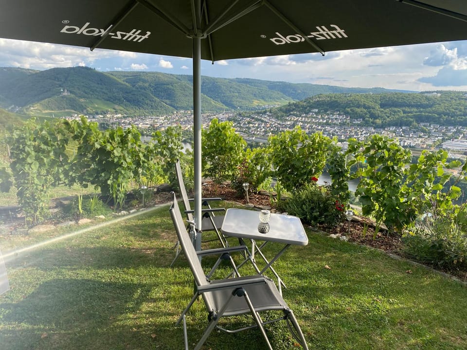 Apartment an der Mosel 2 Apartment in Graach an der Mosel