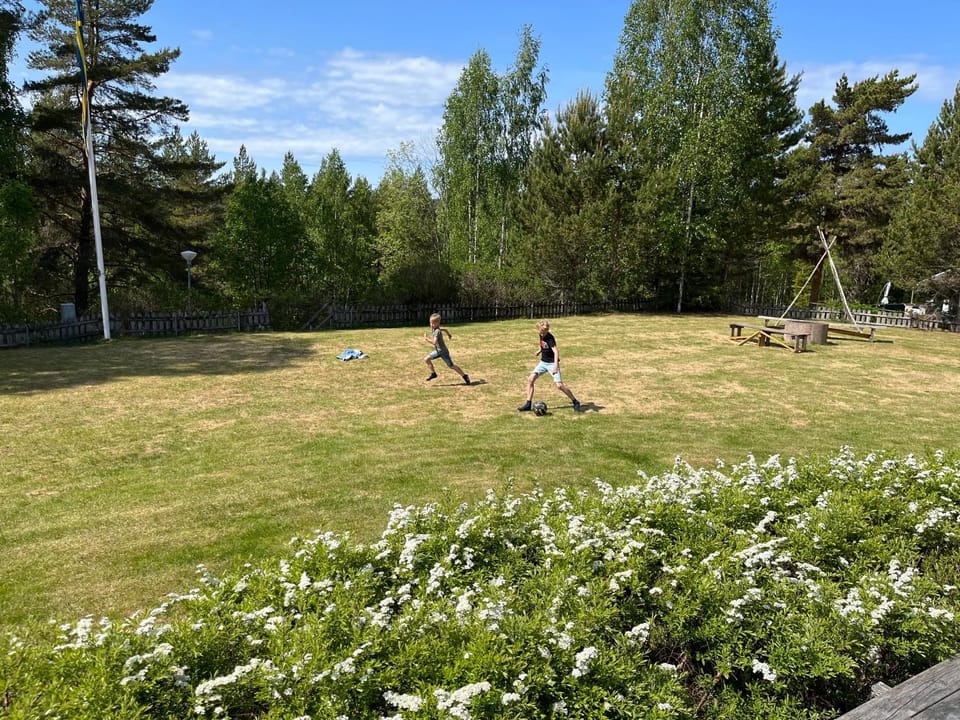 Garden, Garden view