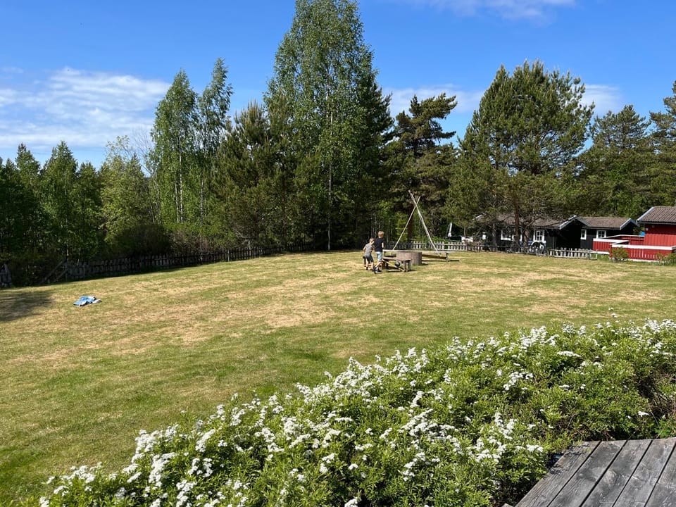 Garden, Garden view