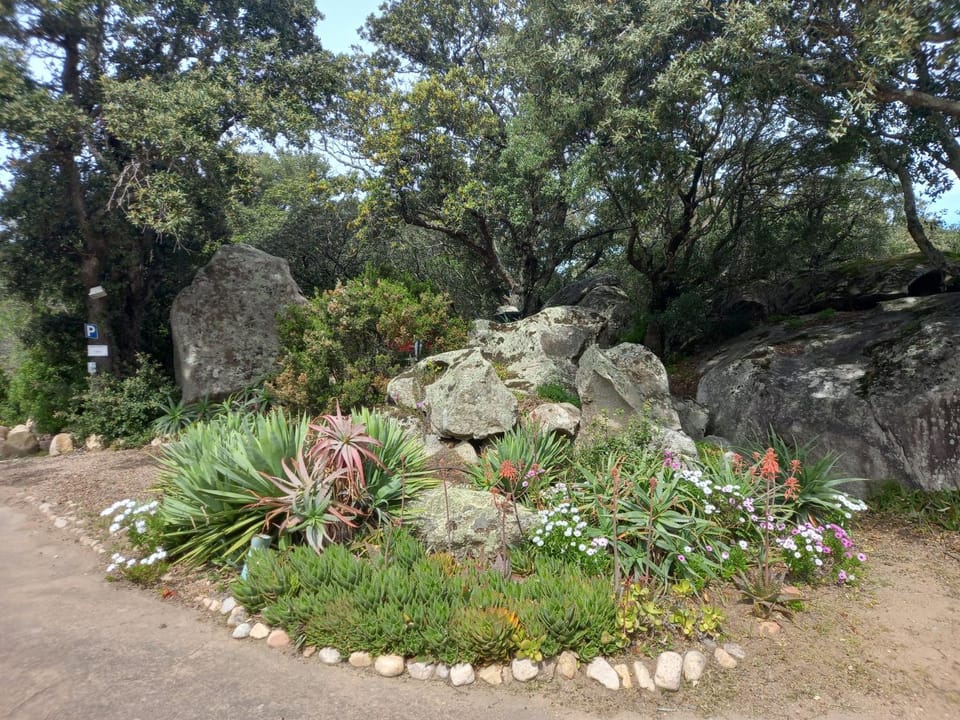 Garden view
