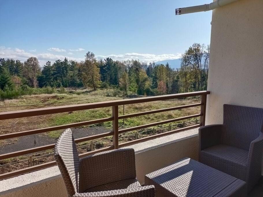 Hermoso departamento en condominio privado alicura Apartment in Pucon