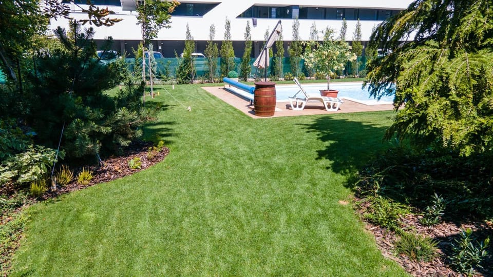 Natural landscape, Garden, Garden view, Pool view, Swimming pool