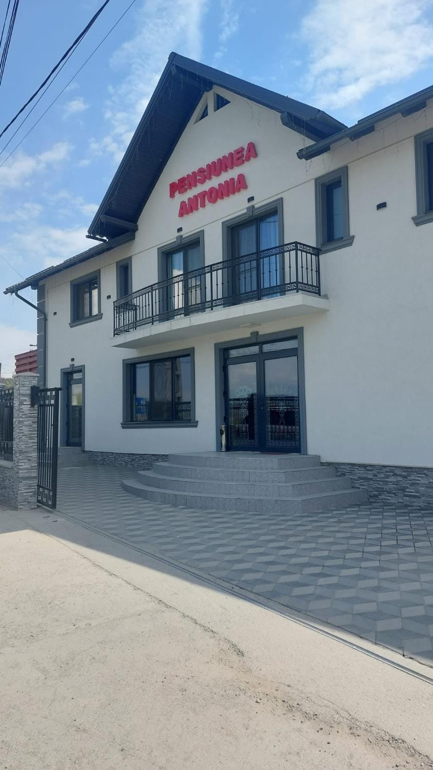 PENSIUNEA ANTONIA Bed and Breakfast in Romania