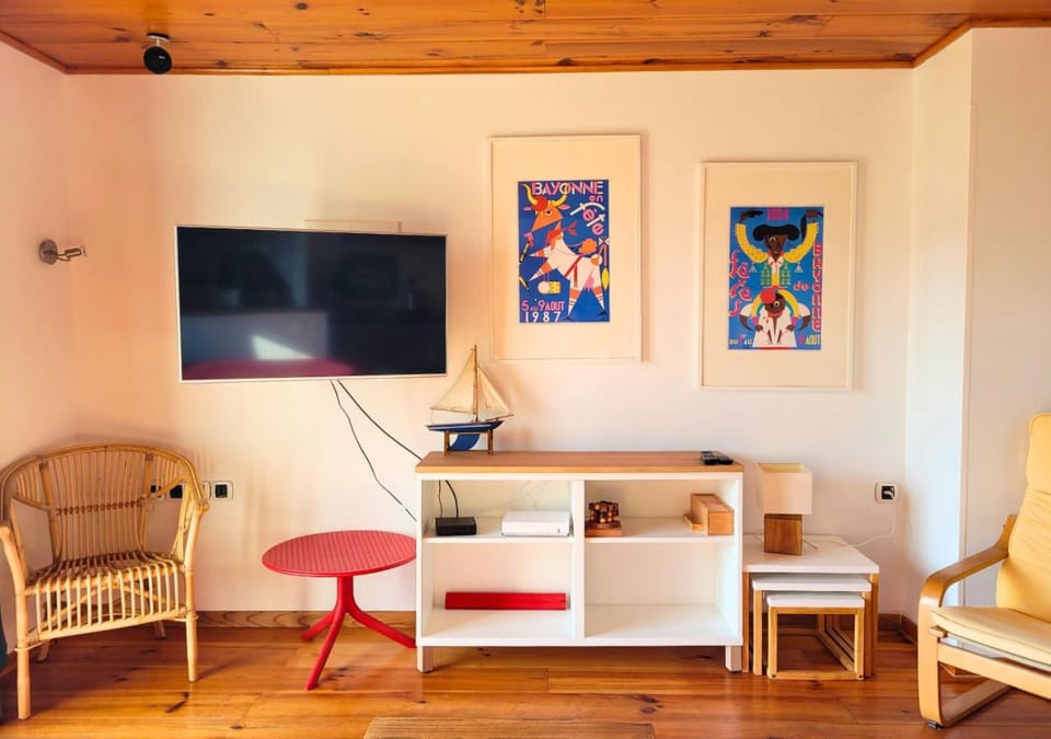 TV and multimedia