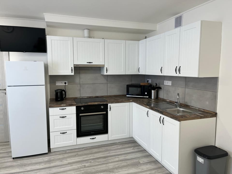 Kitchen or kitchenette, minibar, oven, pet friendly, stove