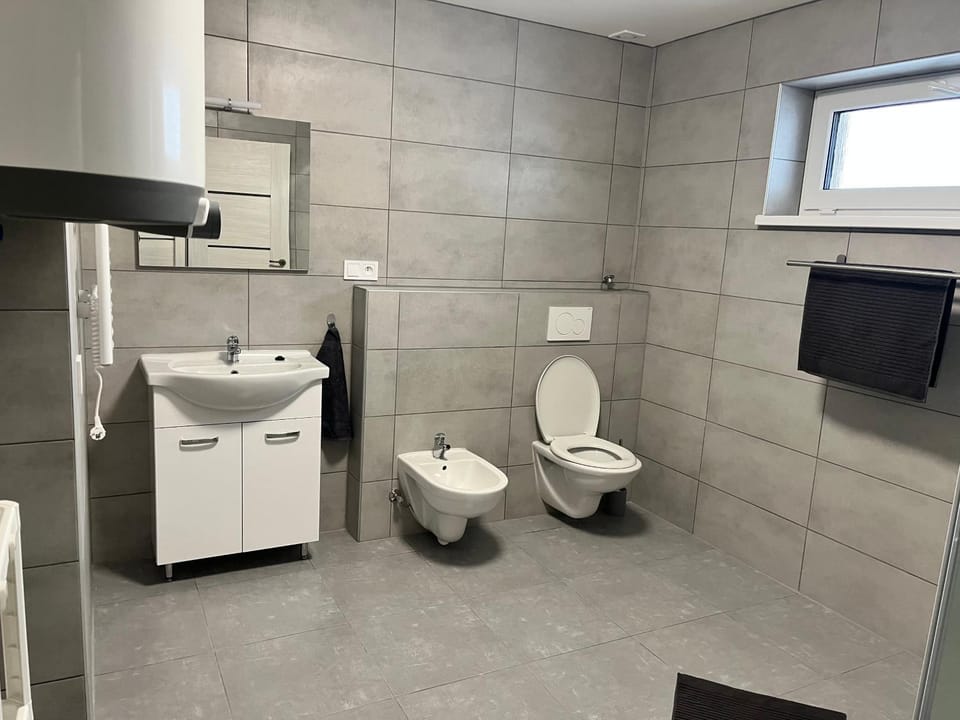 Toilet, Bathroom, bidet
