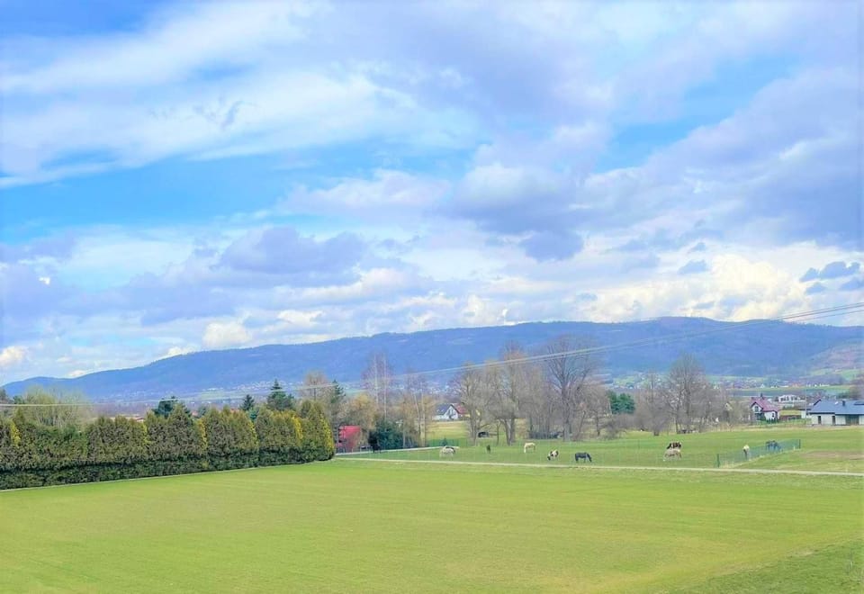 Natural landscape, Mountain view