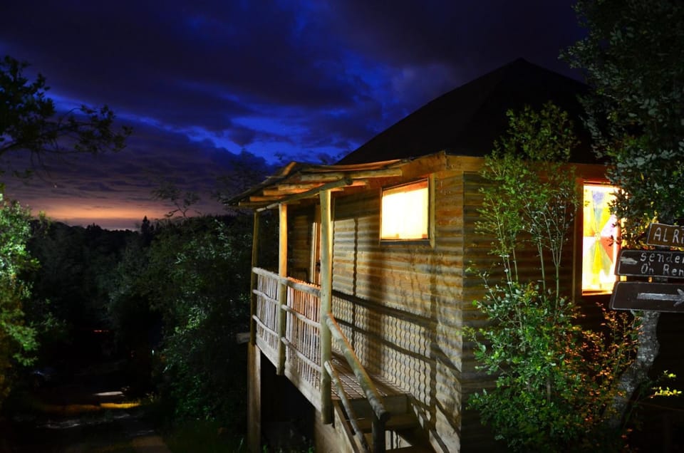 Night, Natural landscape