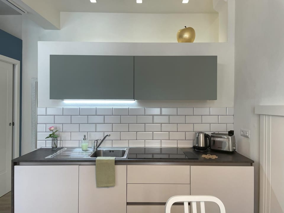 Coffee/tea facilities, Kitchen or kitchenette, minibar, pet friendly, stove, toaster