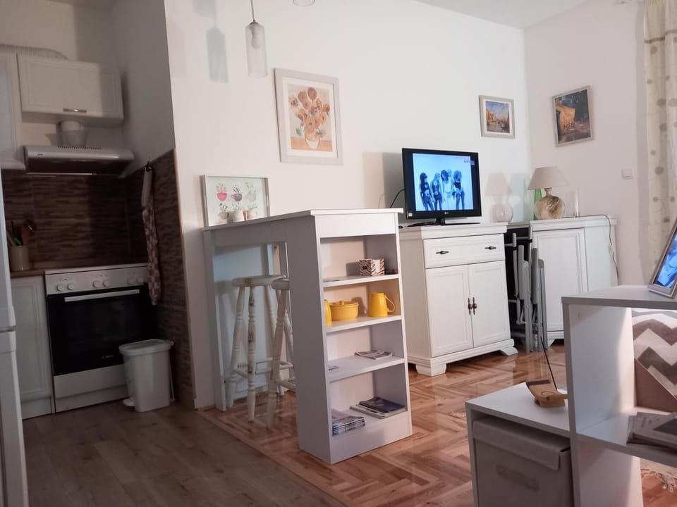 Studio D Apartment in Vojvodina