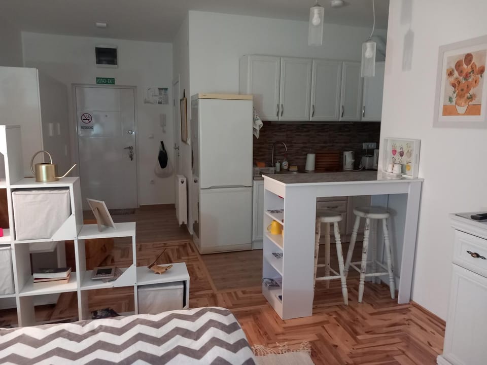 Studio D Apartment in Vojvodina