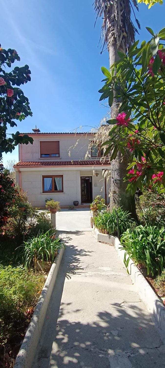 Spring, Garden, Garden view