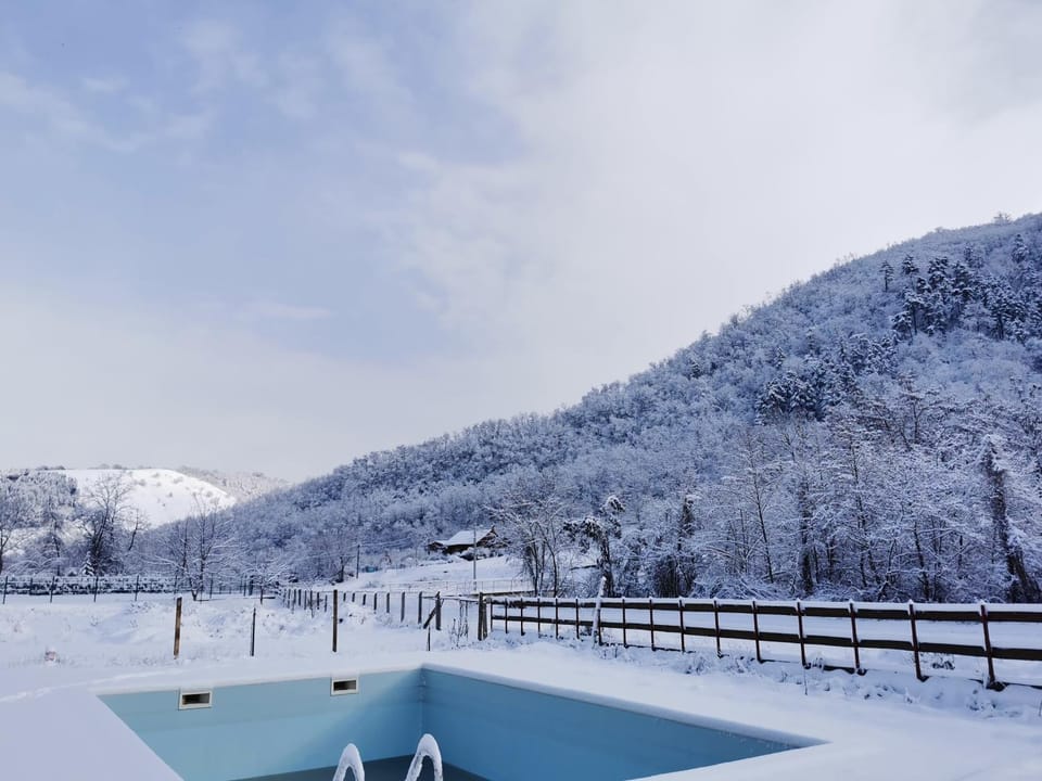 Pensiunea La Nenea Iancu Bed and Breakfast in Romania