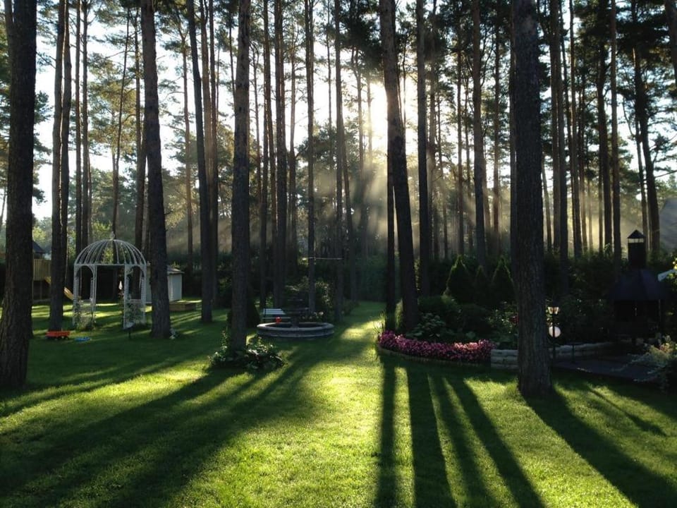 Villa Muusa with a cozy sauna, swimming pool and large beautiful garden Villa in Tallinn