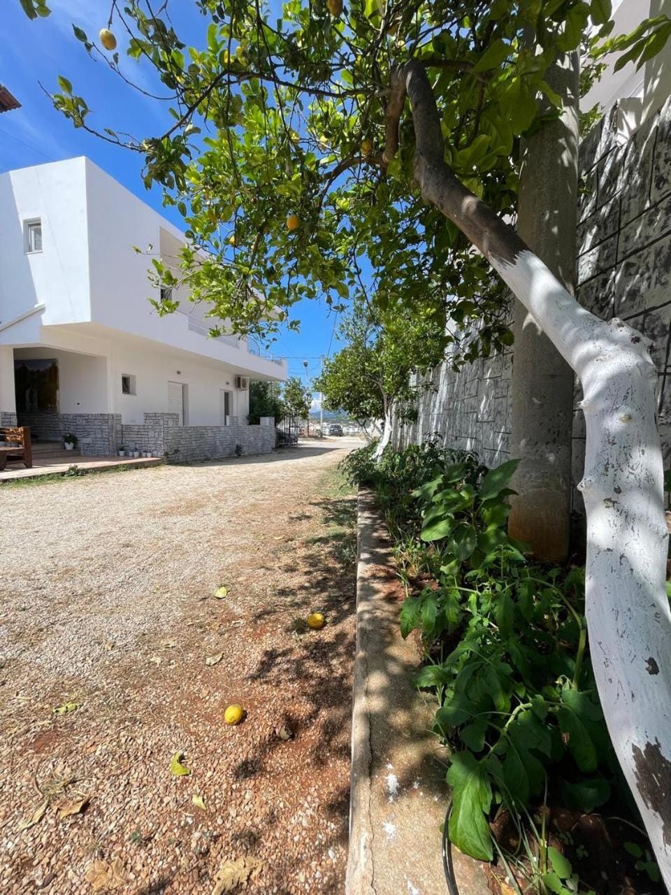 Property building, Parking