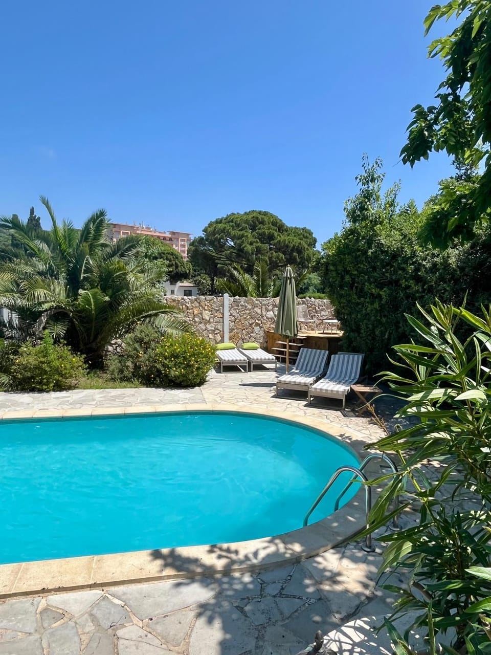 Garden view