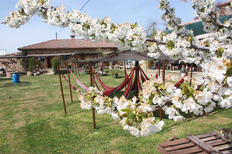 Garden, sunbed