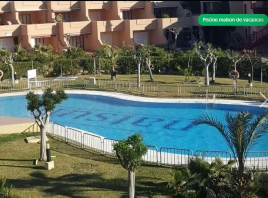 Garden, Swimming pool, sunbed