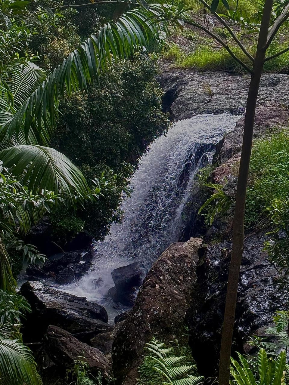 Natural landscape