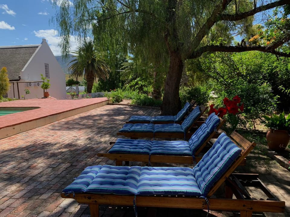 Port Wine Guesthouse Bed and Breakfast in Western Cape