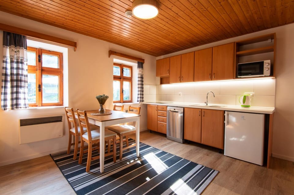 Kitchen or kitchenette, Dining area, dishwasher, minibar, stove