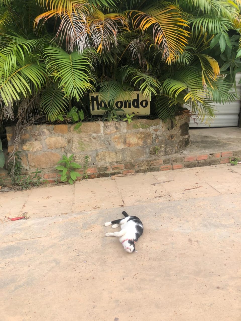 Macondo Mpai bay Bed and Breakfast in Sihanoukville