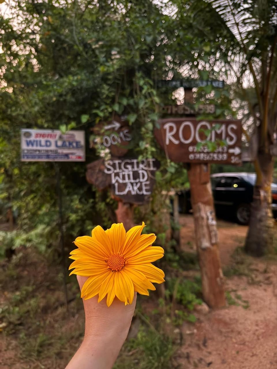 Sigiri Wild Lake Dambulla Bed and Breakfast in Dambulla