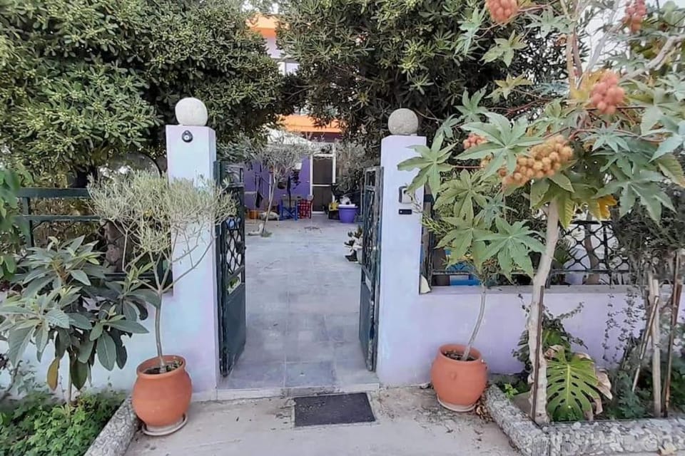 Day, Garden